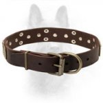 Armour-like Canine Leather Collar with Cones and Plates