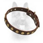 Studded Leather Puppy Dog Collar For K9