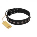 "Black Knight" Handmade FDT Artisan Black Leather dog Collar with Silver-Like Studs