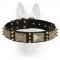 Gorgeous K9 Dog Leather Dog Collar With Massive Plates And Brass Spikes