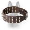 2 inch Spiked and Studded Canine Leather Dog Collar