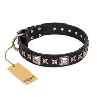 'Space Walk' FDT Artisan Black Leather Dog Collar with Amazing Adornments for Everyday Use