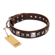 'Perfect Impression' FDT Artisan Brown Leather Dog Collar with Silvery Square Studs - 1 1/2 inch (40 mm) Wide