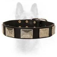 Handcrafted Leather Dog Collar with Vintage Massive Nickel Plates for Canine