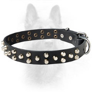 Canine Leather Dog Collar With Small Pyramids