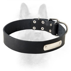 Exclusive Leather Dog Collar With Name Tag