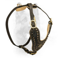 Canine Harness Leather with Studded Chest Plate