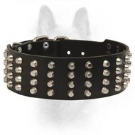 Studded Leather Dog Collar-2 Inch Wide Collar For Canine