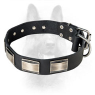 Canine Deluxe Leather Dog Collar With Plates