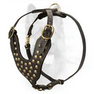 Walking and Training 2 Ply Studded Leather K9 Harness