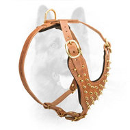 Brass Spiked Leather Dog Harness