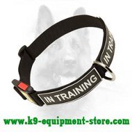Canine All Weather Nylon Dog Collar With Patches