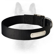 All Weather Nylon K9 Dog Collar With ID Tag