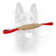 Time-Proof Durable Dog Bite Tug