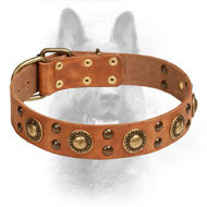'Space-Like' Leather Dog Collar with Brass Decorations