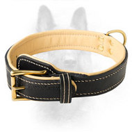 Handmade Custom Leather K9 Collar With Soft Nappa Padding