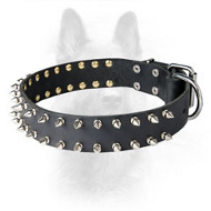 Canine Leather Spiked Dog Collar With Shining Spikes