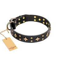 'A La Mode' FDT Artisan Hand Decorated Black Leather Dog Collar
