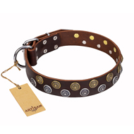 'Strong Shields' Wide FDT Artisan Brown Leather Dog Collar with Exquisite Decor
