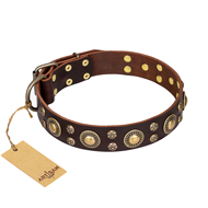 'Flower Melody' FDT Artisan Brown Leather Dog Collar with Mixed Studs for Daily Use