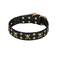 FDT Artisan 'Jolly Rojer' Leather Dog Collar with Pirate Skulls and Studs - 1 1/2 inch (40 mm) wide