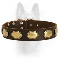 Retro Rulz - Gorgeous Leather Canine Dog Collar With Vintage Brass Decoration