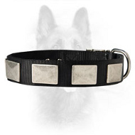 Nylon Dog Collar For K9 Dogs With Vintage Plates