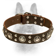 ''Rock n Roll'' Leather K9 Collar Decorated with Steel Circles