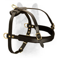 Tracking, Pulling, Training Leather Dog Harness For Canine Dogs