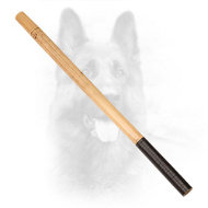 CANINE EQUIPMENT : The Best Equipment For Dogs 2020 | [BUY NOW]