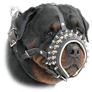 Royal Spiked Leather Dog Muzzle For Canine Dogs