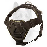 Pulling, Tracking, Walking Nylon Canine Harness