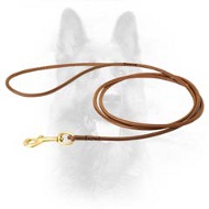 Exclusive Super Thin K9 Dog Show Collar