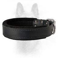 K9 Leather Dog Collar-1.5 inch (3.8cm) width-Training Dog Collar