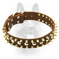 Leather Spiked & Studded Dog Collar For Canine Dogs
