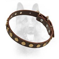 Studded Leather Puppy Dog Collar For K9