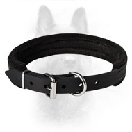 Felt Padded Comfy Canine Dog Collar Made Of The Best Quality Leather