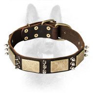 Gorgeous Leather War Dog With Massive Brass Plates & Spikes