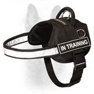 Canine Nylon Dog Harness With Patches