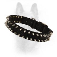 High Quality Nylon Spiked Dog Collar For Walking In Style