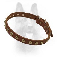 Brass Studded K9 Leather Dog Collar
