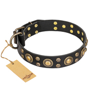 'Baroque Chic' FDT Artisan Studded Black Leather Dog Collar