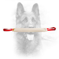 Dog Bite Tug Covered with Fire Hose