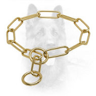 brass dog chain