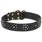 'Spring Mood' Canine Leather Dog Collar for Daily Walks