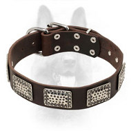 Decorated Leather Canine Collar with Nickel Plates