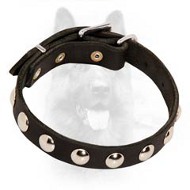 Leather Canine Collar with Round Studs