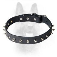 Spiked Leather Dog Collar for Canine Walking in Style