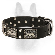 Leather K9 Collar with Nickel-Plated Decorative Elements