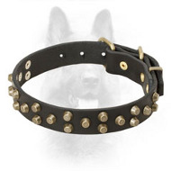 Studded Leather Collar for Police Dogs
